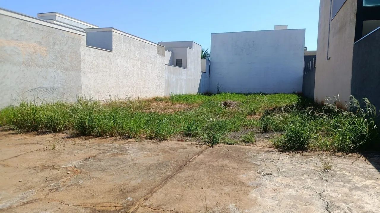 Terreno  - Foto 3