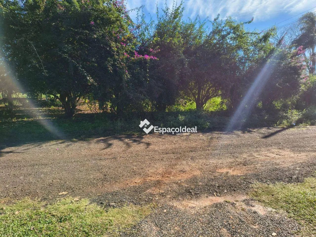 Chácara no Corvo Branco: Tranquilidade e Valorização - Foto 5