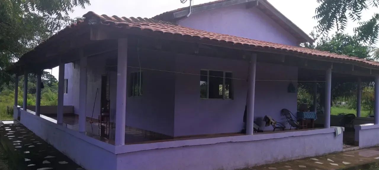 KBC-" VENDO FAZENDA 128 ALQUEIRES  RIO DENTRO  PECUÁRIA  REGIÃO MARABÁ / TRANSAMAZÔNICA - Foto 4