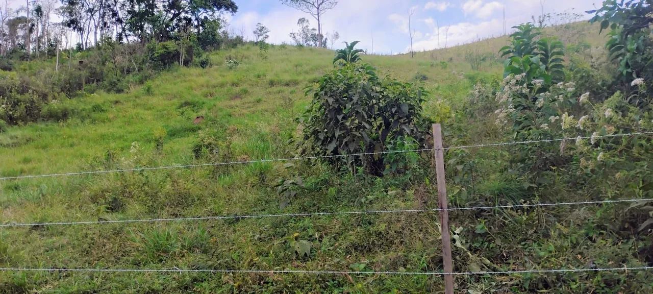 Terreno em santa Isabel  - Foto 4