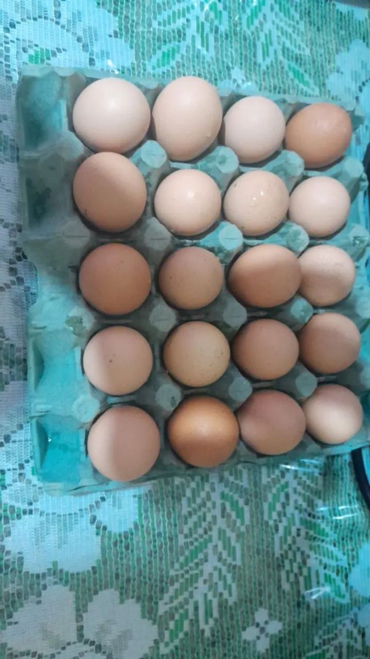 Ovos galados 