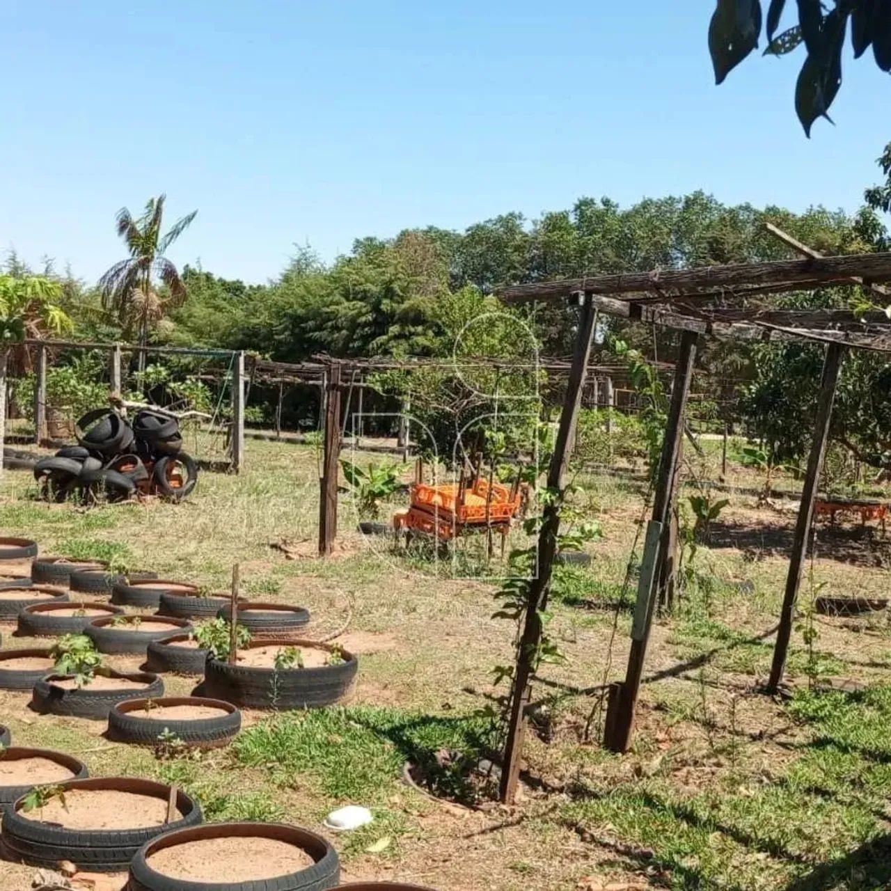 Chácara em Sítios de Recreio Terras da Boa Vista - Marília - Foto 9