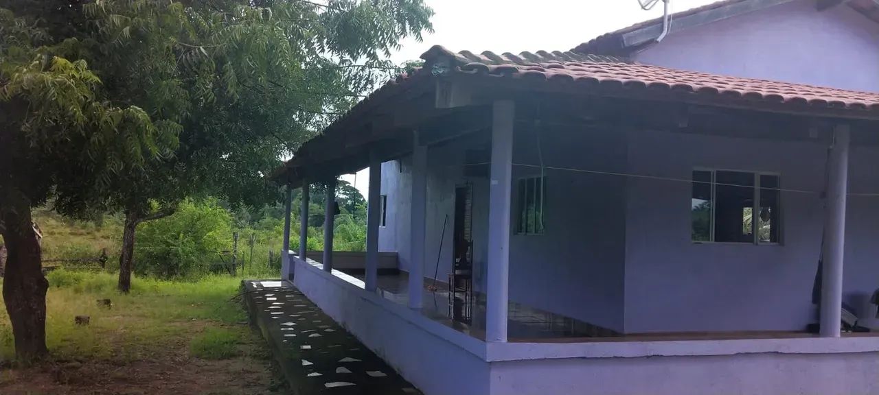 KBC-" VENDO FAZENDA 128 ALQUEIRES  RIO DENTRO  PECUÁRIA  REGIÃO MARABÁ / TRANSAMAZÔNICA - Foto 12