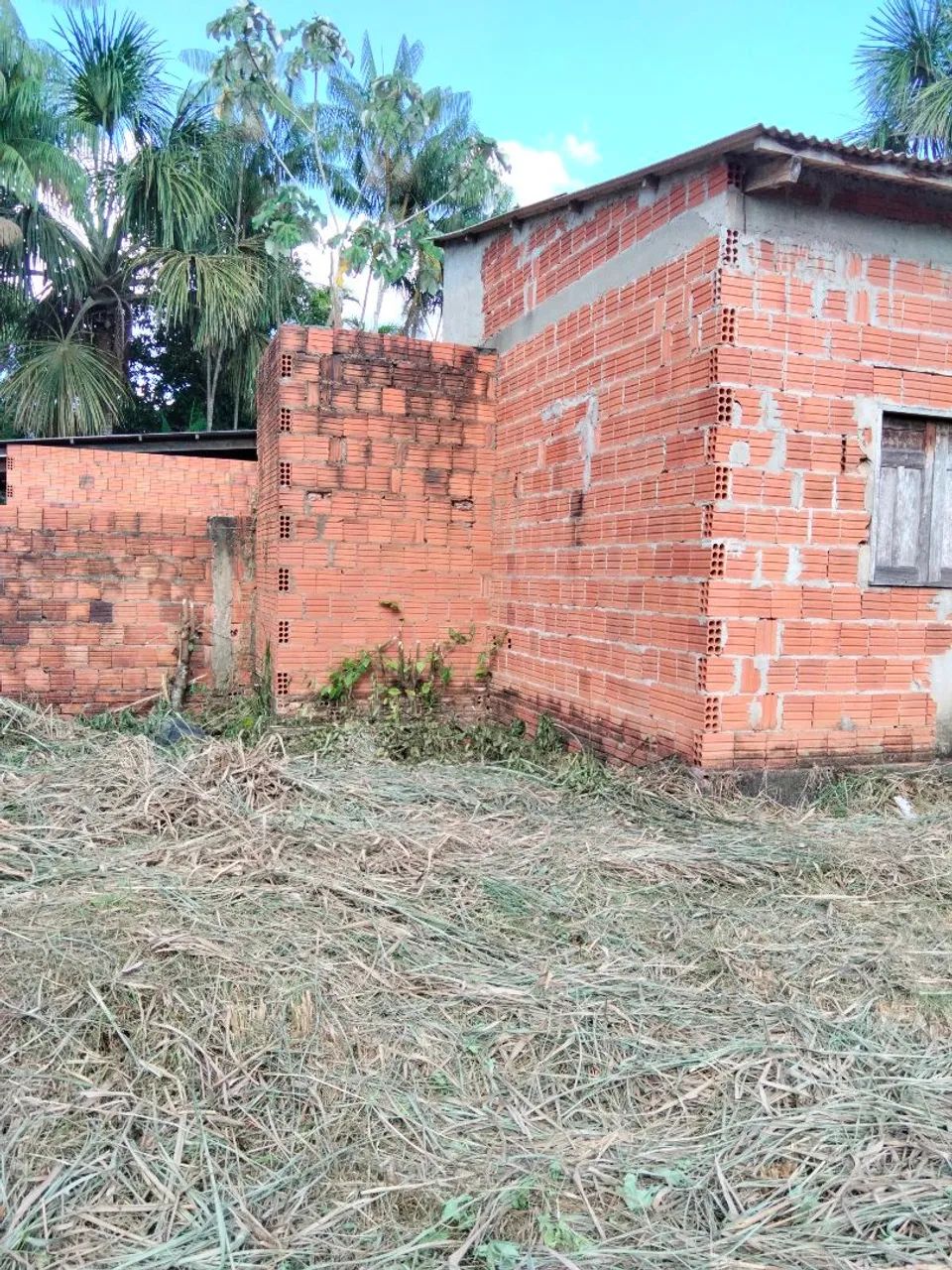 TERRENO  - Foto 3