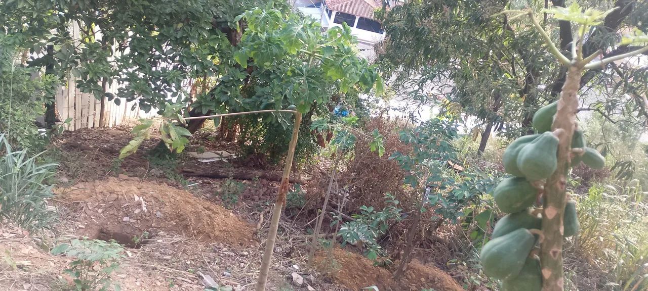 Estou vendendo o Terreno com uma casa no local 