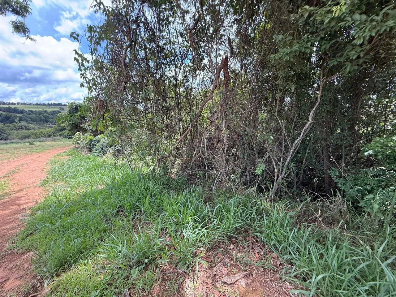 Fazendinhas rurais em florestal  - Foto 3