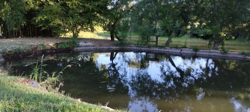 Chácara próxima a Anápolis e Campo Limpo !!! - Foto 4