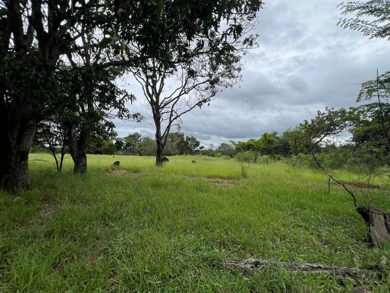 Foto - Brasília - Setor Leste (Gama)