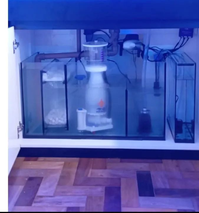 Aquário marinho 200 litros 1x40x50 sump e móvel compensado naval  - Foto 3