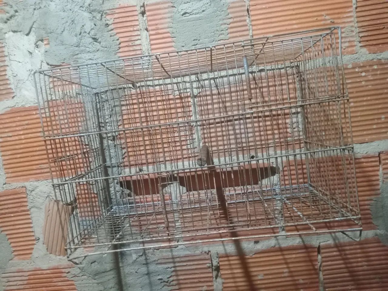 Gaiola de ferro  - Foto 2