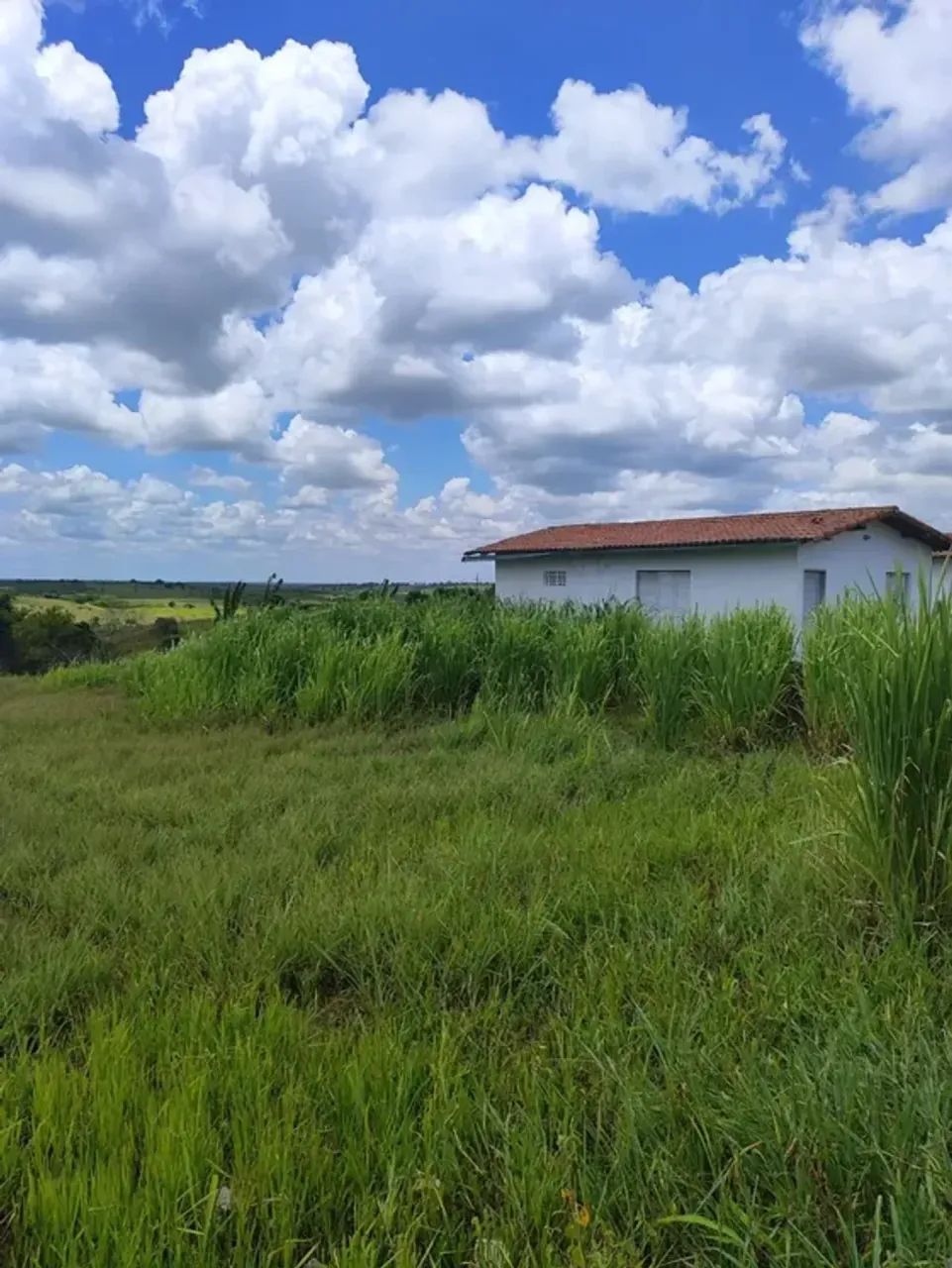 Excelente Fazenda com 38 hectares em monte alegre - Foto 5