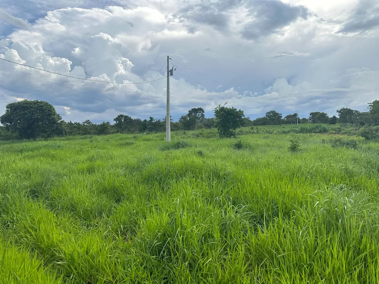 Vendo Fazenda 