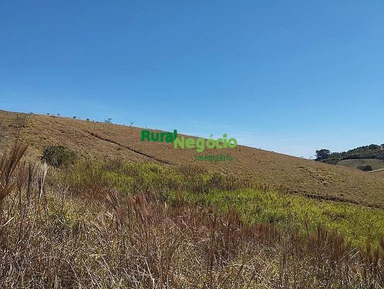 CHÁCARA SEM BENFEITORIAS E FÁCIL ACESSO EM CUNHA-SP - Foto 4