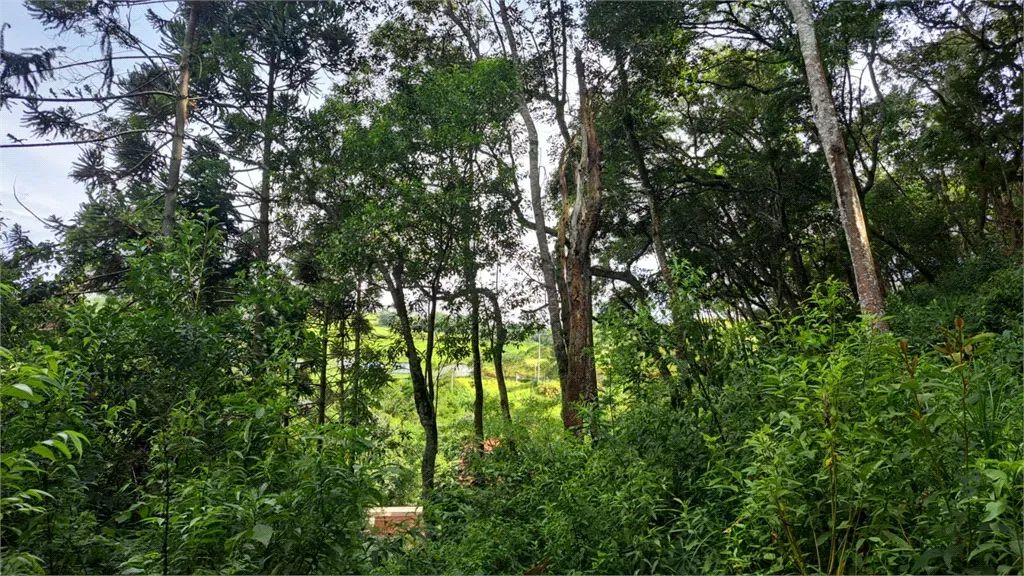 Terreno à venda em Mato dentro - SP
