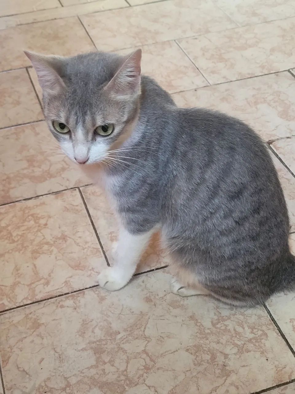 Doação - Foto 2