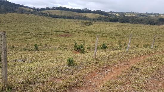 Itapetininga Região Fazenda 100 Alqueires - Foto 14