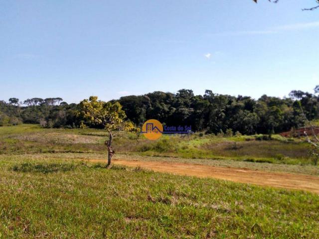 Terreno à venda, 1000 m² por r$ 100.000,00 - vila verde - rio das ostras/rj - Foto 12
