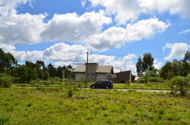 Terreno residencial à venda, vista do vale, canela. - Foto 7