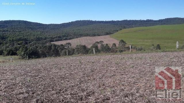 Fazenda para Plantio e Pastagem em Santa Terezinha - Foto 8