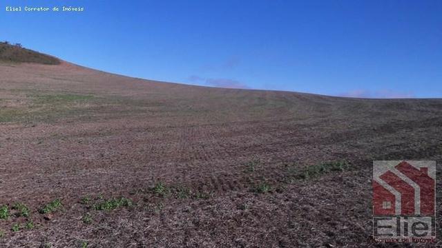 Fazenda para Plantio e Pastagem em Santa Terezinha - Foto 6