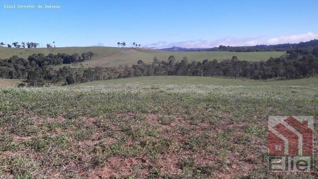 Fazenda para Plantio e Pastagem em Santa Terezinha - Foto 12
