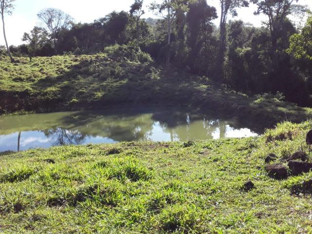 Sitio em Barro Preto-BA - Foto 12