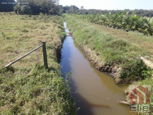 Fazenda Plana em Itapoá, Criação de Gado ou Plantio, Aceita Parte em Permuta - Foto 7