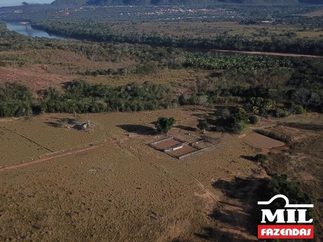 4 km de margens do Rio Araguaia. Fazenda 96 alqueires 464.64 Hectares - Aragarças-GO - Foto 18