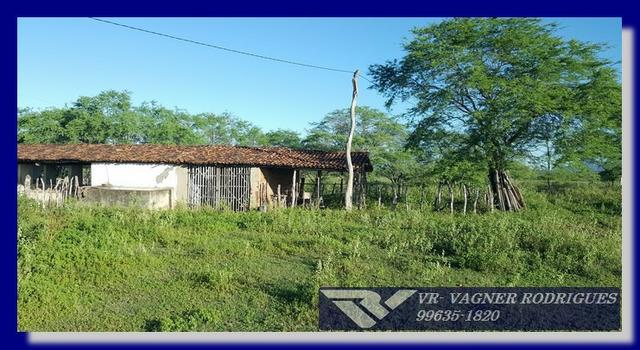 VR-Belíssima Fazenda 130ha com Estrutura, Localização Privilegiada, Valor Super Atrativo - Foto 4