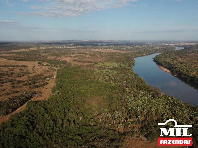 4 km de margens do Rio Araguaia. Fazenda 96 alqueires 464.64 Hectares - Aragarças-GO - Foto 6