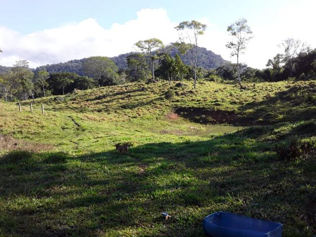 Sitio em Barro Preto-BA - Foto 13