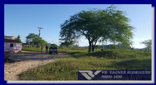VR-Belíssima Fazenda 130ha com Estrutura, Localização Privilegiada, Valor Super Atrativo - Foto 19