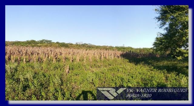 VR-Belíssima Fazenda 130ha com Estrutura, Localização Privilegiada, Valor Super Atrativo - Foto 6