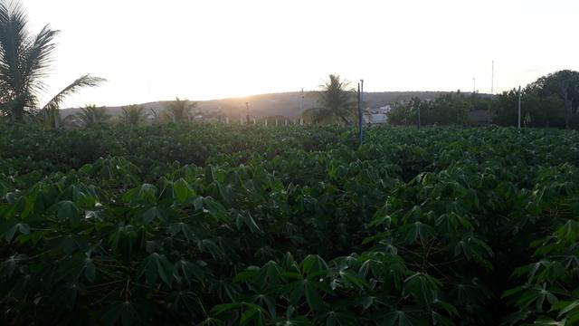 Terreno na beira do rio - Foto 5