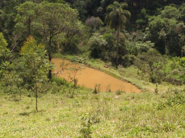 Vendo sítio em Caucaia do alto cotia - Foto 3