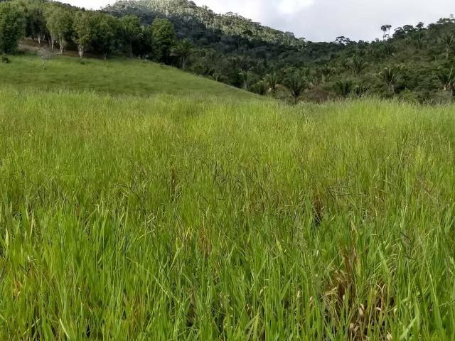 Fazenda em camamu R$ 1.500.00 a tarefa a mais barata do Brasil - Foto 8