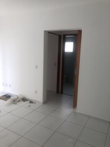 Alugo jardins turu - Foto 2