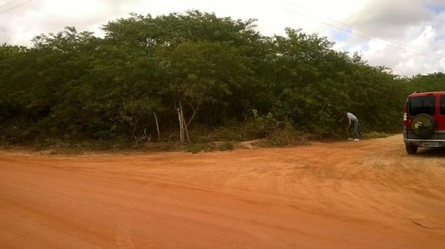 Vendo excelente terreno de 2.000m2 à 300m da Estrada de PIUM - Foto 3