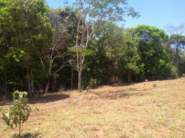 Chácara em Gameleira de Goiás - Foto 2