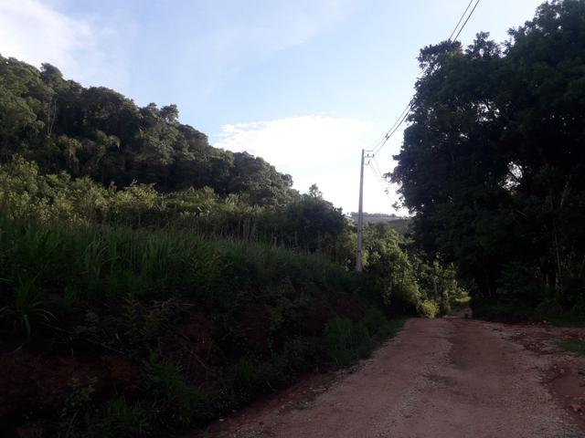 Chácara com 2 alqueires Barra santa rita/Campo magro - Foto 8