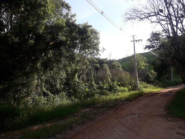 Chácara com 2 alqueires Barra santa rita/Campo magro - Foto 17