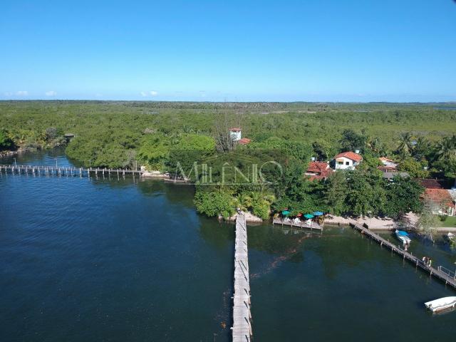 Terreno à venda em Barra grande, Maraú cod:57863752 - Foto 11