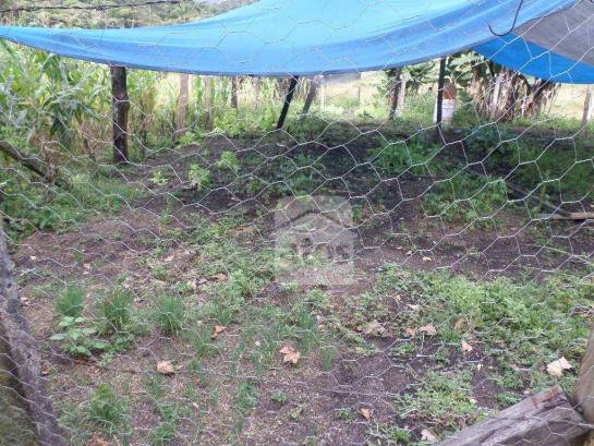 Chácara residencial à venda. - Foto 18