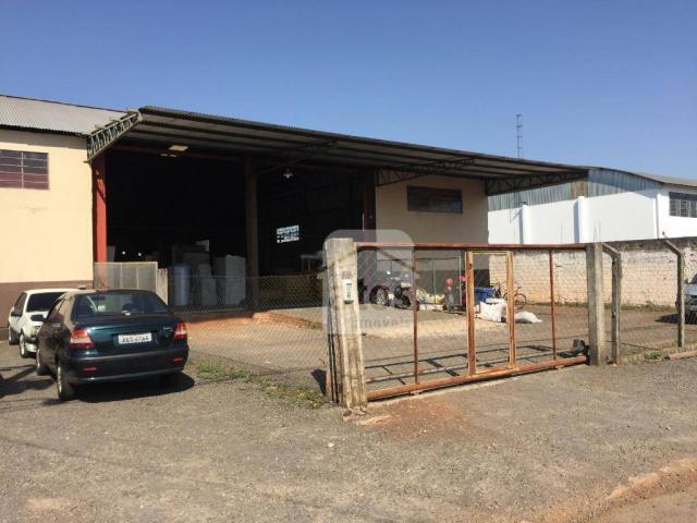 barracão comercial em arapongas paraná - Foto 3