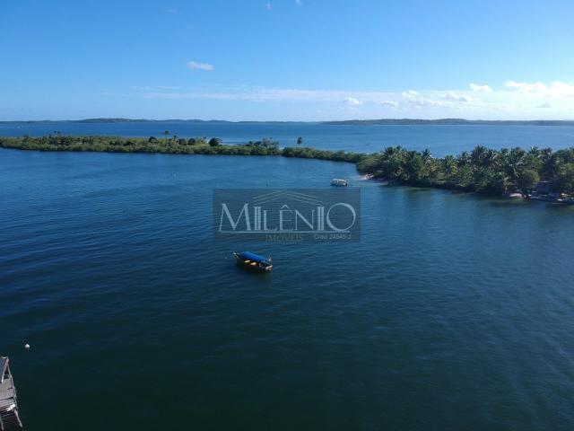 Terreno à venda em Barra grande, Maraú cod:57863752 - Foto 8