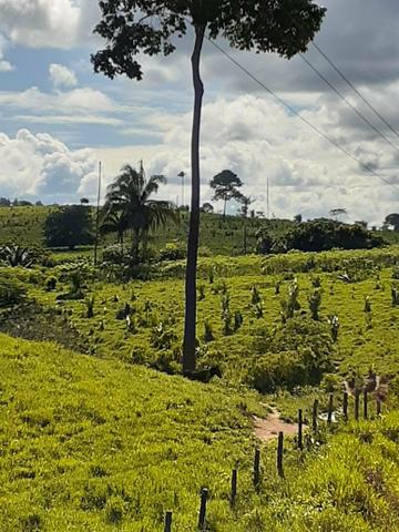 Vendo essa Fazenda - Foto 3