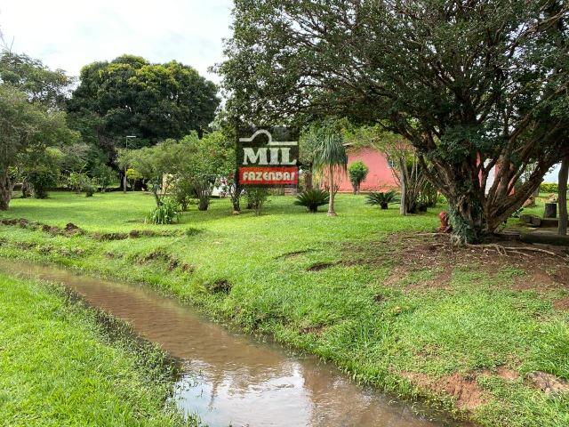 Linda Chácara 1.65 Alqueires ( 8 hectares ) Bela Vista de Goiás; - Foto 19