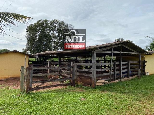 Linda Chácara 1.65 Alqueires ( 8 hectares ) Bela Vista de Goiás; - Foto 11