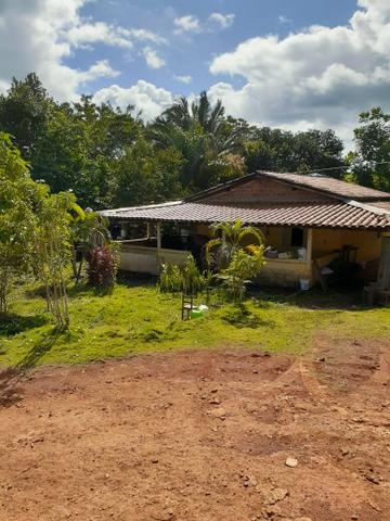 Vendo essa Fazenda
