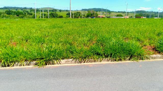 Lete - Foto 5